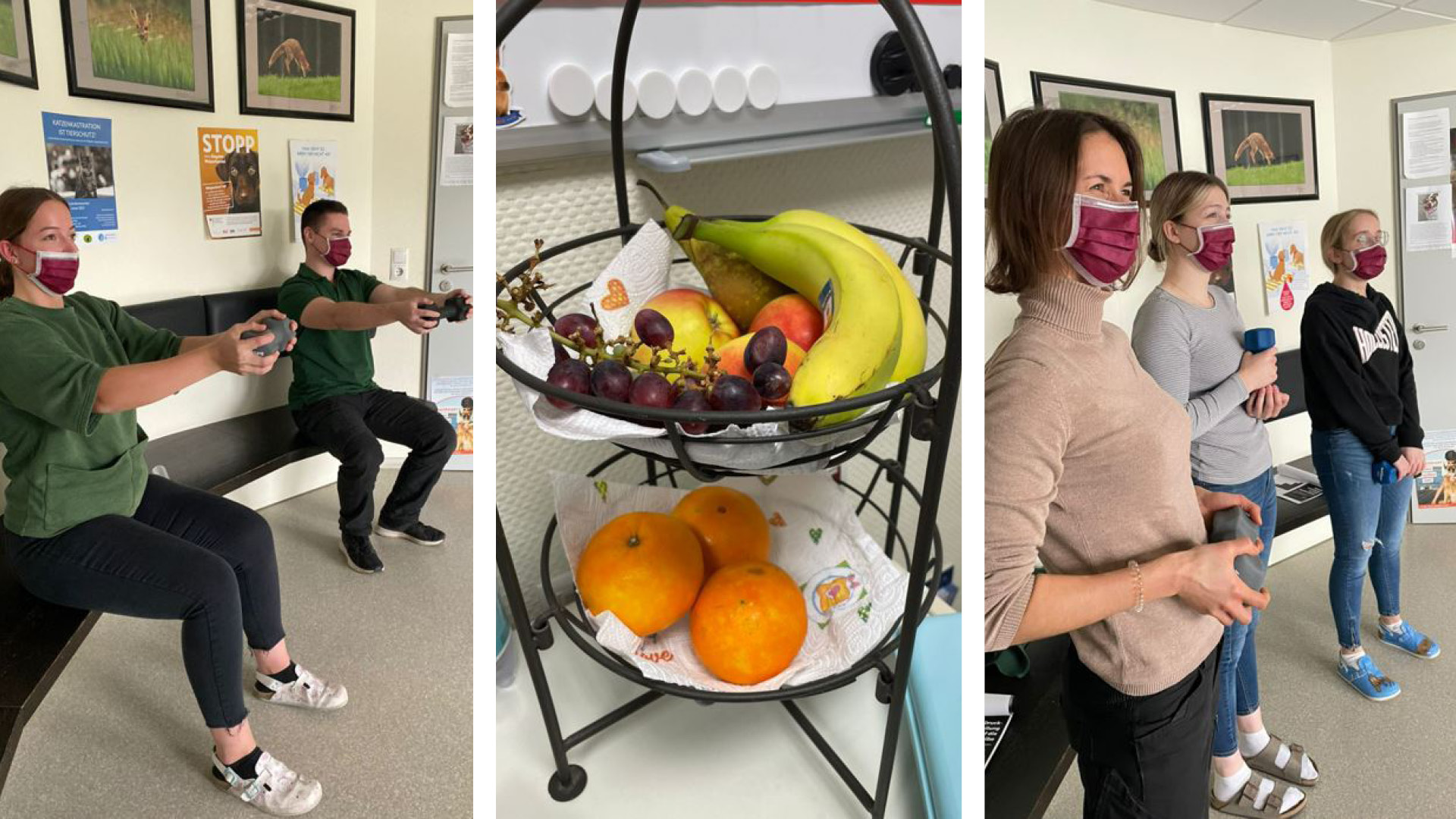 Pilot-Projekt „Wellbeing-Woche“ bei den Tierärzten Kelberg