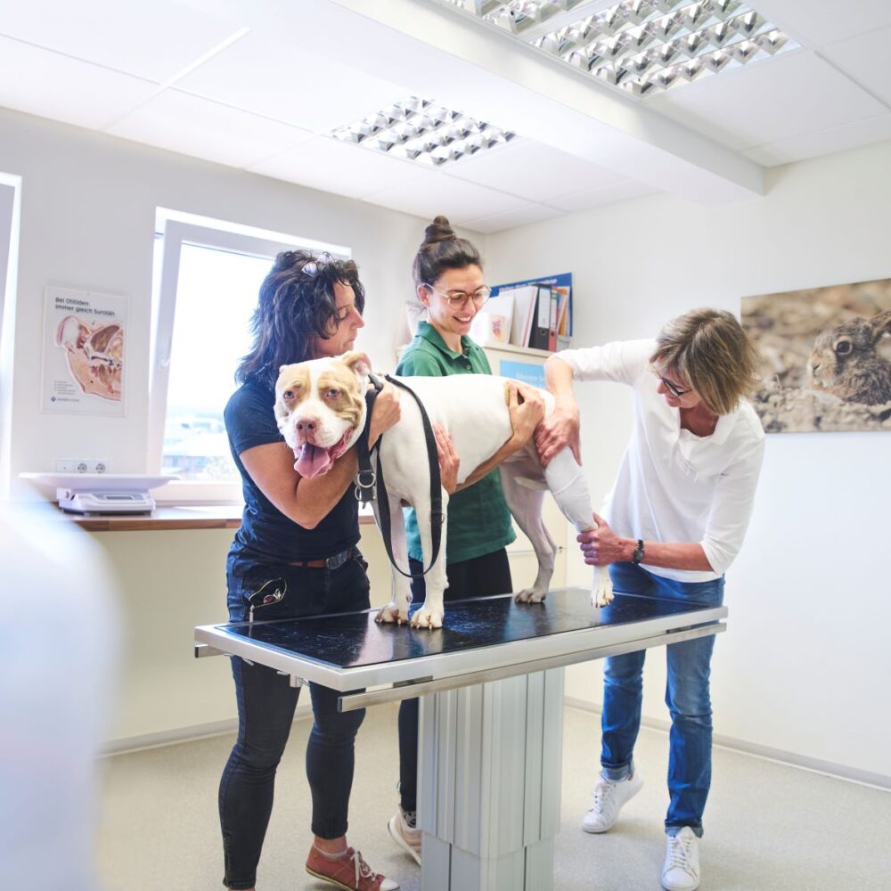 VetPartners Deutschland im Gespräch