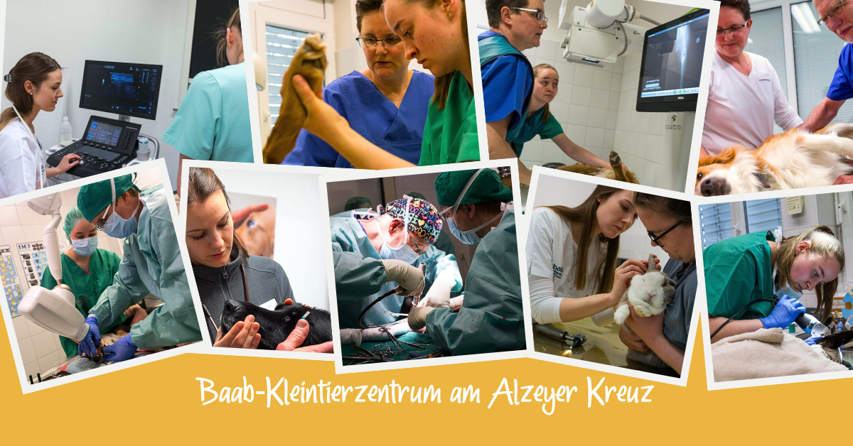 Wir stellen vor: das Baab-Kleintierzentrum am Alzeyer Kreuz