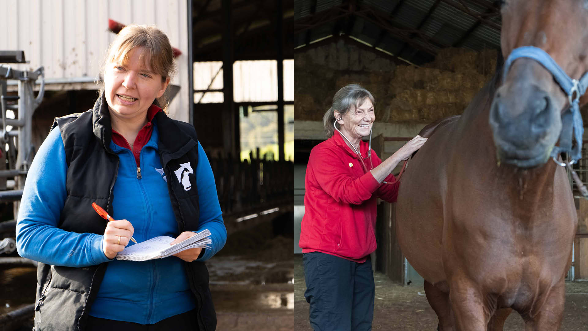 Wie wir als Praxis von der Partnerschaft mit VetPartners Deutschland profitieren