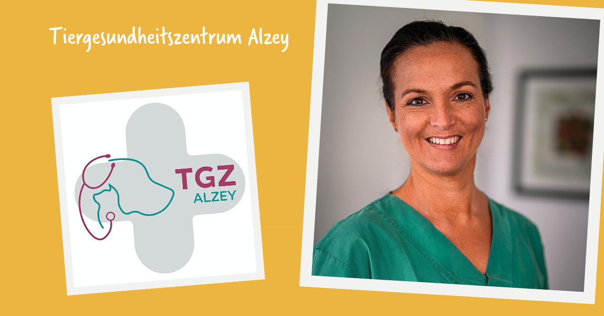 Neuausrichtung in Alzey: Unter neuer Führung in die Zukunft