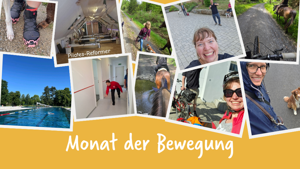 Collage aus Bildern von Mitarbeiterinnen beim Sport
