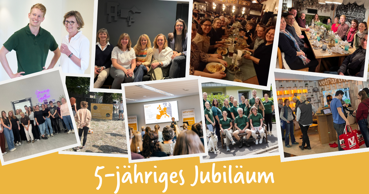 5 Jahre VetPartners Deutschland – ein Netzwerk wächst