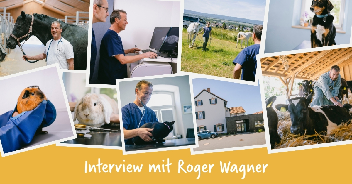 „Das Tier und die Mitarbeitenden stehen im Vordergrund – nicht das Monetäre“