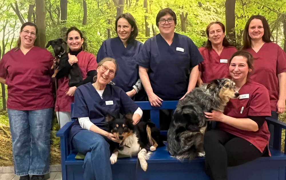 Gruppenbild der 8 Mitarbeiterinnen mit drei Hunden der Tierarztpraxis Brechen