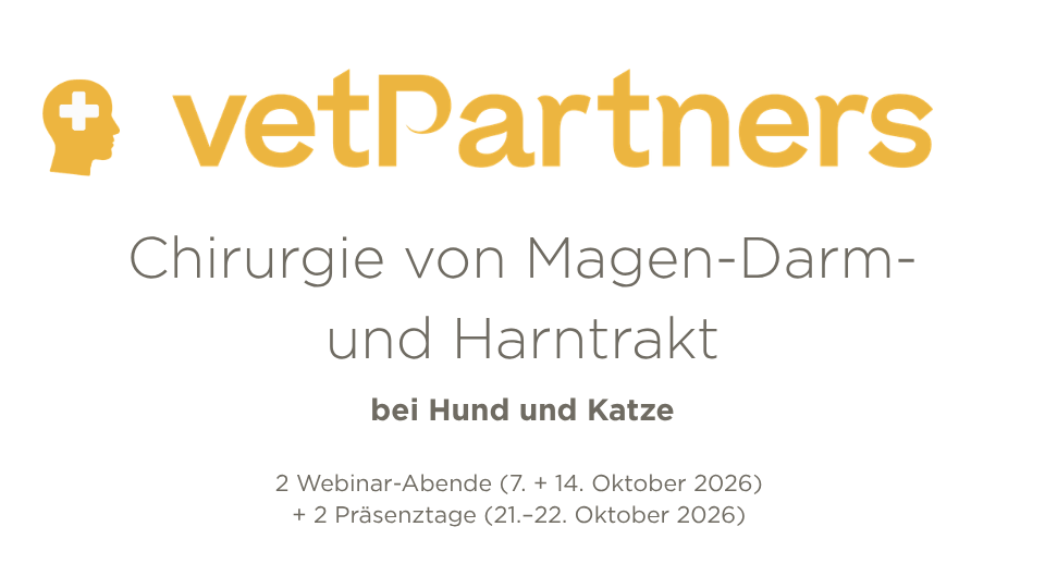 Grafik mit Titel der Veranstaltung und Veranstaltungszeit